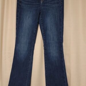 American Eagle Outfitters Dark Blue Flare Jeans